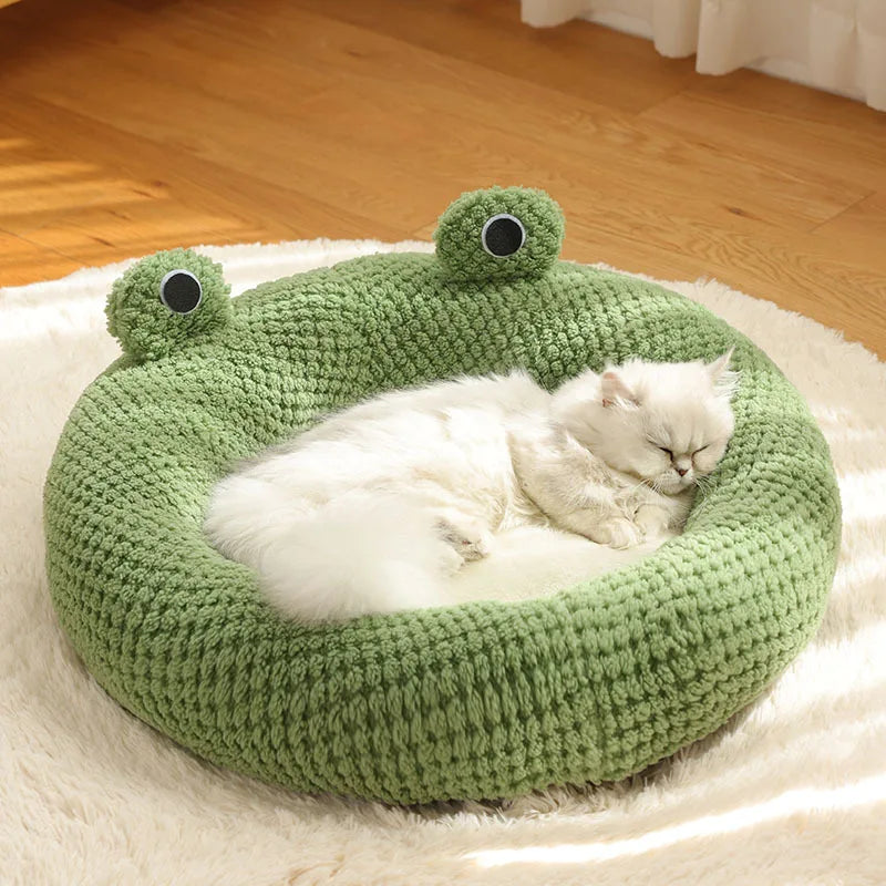 Bed's