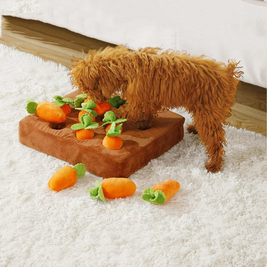 Sniff & Seek Puzzle Toy