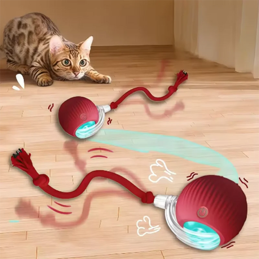 ChaseWave Interactive Cat Toy